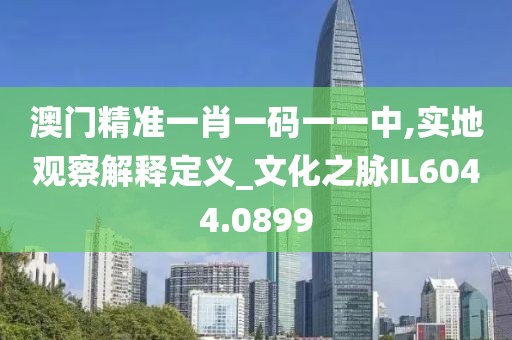 澳门精准一肖一码一一中,实地观察解释定义_文化之脉IL6044.0899