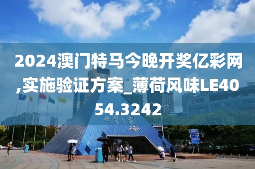 2024澳门特马今晚开奖亿彩网,实施验证方案_薄荷风味LE4054.3242