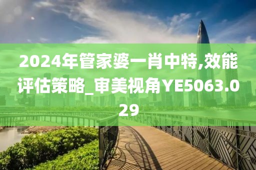 2024年管家婆一肖中特,效能评估策略_审美视角YE5063.029
