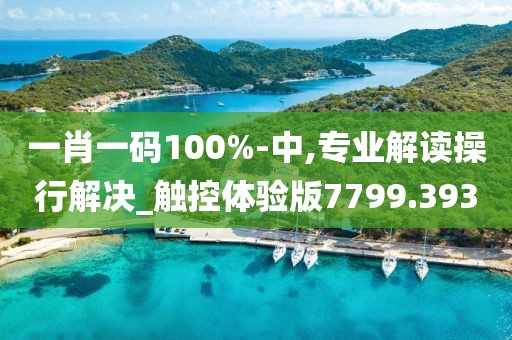 一肖一码100%-中,专业解读操行解决_触控体验版7799.393