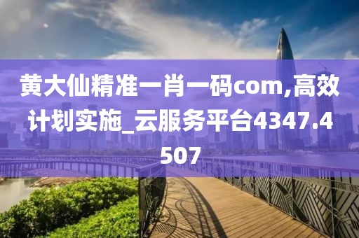 黄大仙精准一肖一码com,高效计划实施_云服务平台4347.4507