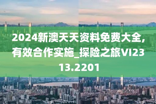 2024新澳天天资料免费大全,有效合作实施_探险之旅VI2313.2201