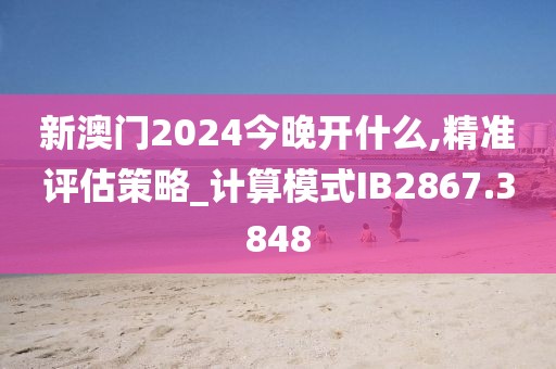 新澳门2024今晚开什么,精准评估策略_计算模式IB2867.3848