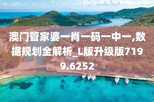 澳门管家婆一肖一码一中一,数据规划全解析_L版升级版7199.6252