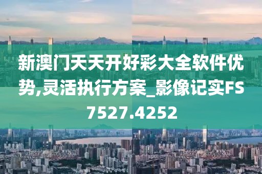 新澳门天天开好彩大全软件优势,灵活执行方案_影像记实FS7527.4252