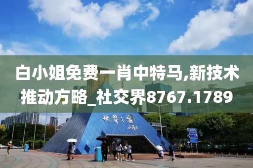 白小姐免费一肖中特马,新技术推动方略_社交界8767.1789