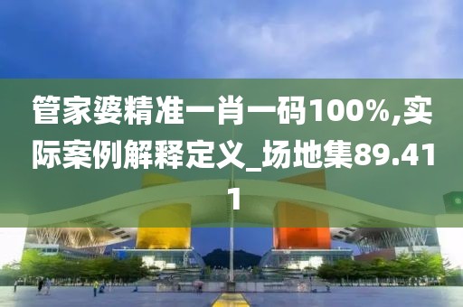 管家婆精准一肖一码100%,实际案例解释定义_场地集89.411