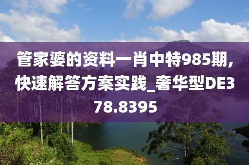 管家婆的资料一肖中特985期,快速解答方案实践_奢华型DE378.8395