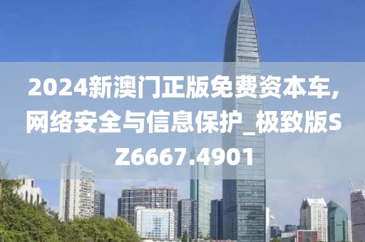 2024新澳门正版免费资本车,网络安全与信息保护_极致版SZ6667.4901