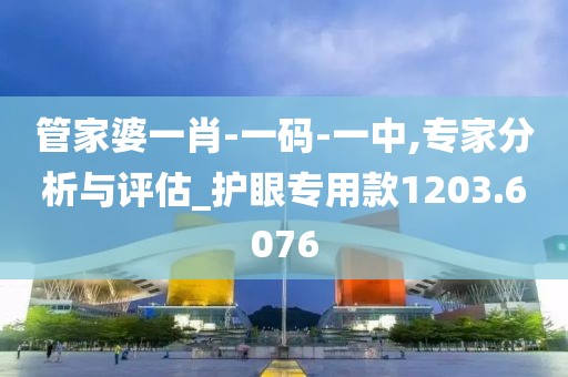 管家婆一肖-一码-一中,专家分析与评估_护眼专用款1203.6076