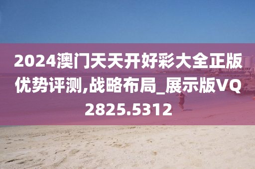 2024澳门天天开好彩大全正版优势评测,战略布局_展示版VQ2825.5312