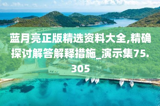 蓝月亮正版精选资料大全,精确探讨解答解释措施_演示集75.305