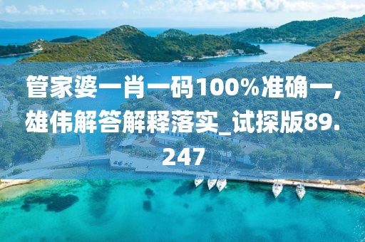 管家婆一肖一码100%准确一,雄伟解答解释落实_试探版89.247