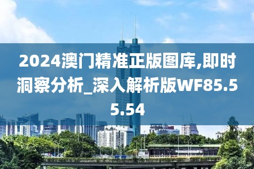 2024澳门精准正版图库,即时洞察分析_深入解析版WF85.55.54