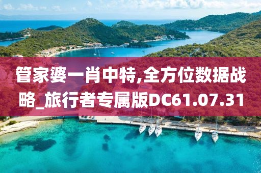 管家婆一肖中特,全方位数据战略_旅行者专属版DC61.07.31