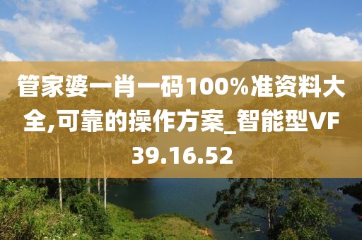 管家婆一肖一码100%准资料大全,可靠的操作方案_智能型VF39.16.52