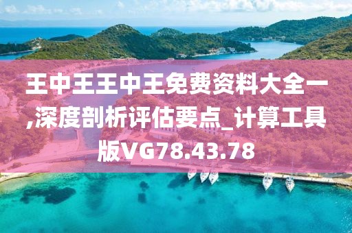 王中王王中王免费资料大全一,深度剖析评估要点_计算工具版VG78.43.78