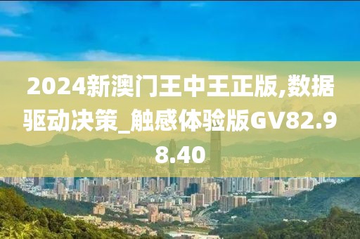 2024新澳门王中王正版,数据驱动决策_触感体验版GV82.98.40