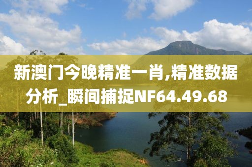 新澳门今晚精准一肖,精准数据分析_瞬间捕捉NF64.49.68