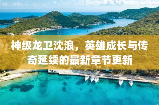神级龙卫沈浪，英雄成长与传奇延续的最新章节更新