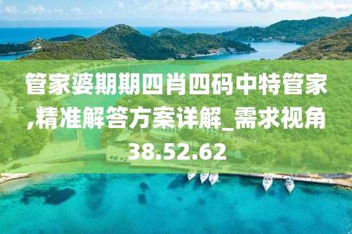 管家婆期期四肖四码中特管家,精准解答方案详解_需求视角38.52.62
