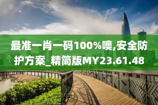 最准一肖一码100%噢,安全防护方案_精简版MY23.61.48