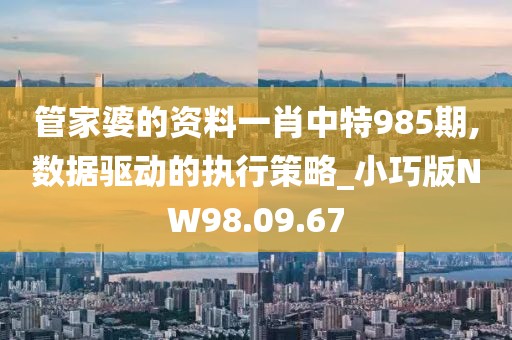 管家婆的资料一肖中特985期,数据驱动的执行策略_小巧版NW98.09.67