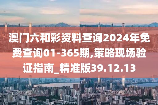 澳门六和彩资料查询2024年免费查询01-365期,策略现场验证指南_精准版39.12.13