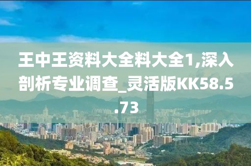 王中王资料大全料大全1,深入剖析专业调查_灵活版KK58.5.73