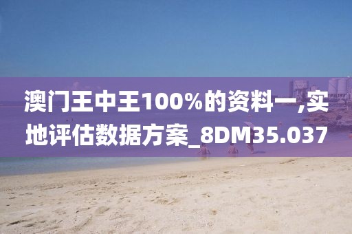 澳门王中王100%的资料一,实地评估数据方案_8DM35.037