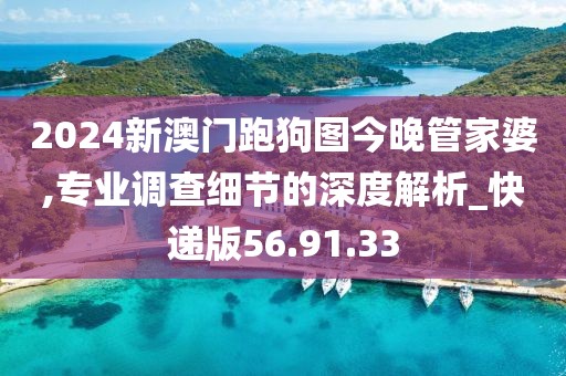2024新澳门跑狗图今晚管家婆,专业调查细节的深度解析_快递版56.91.33