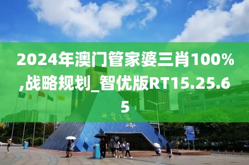 2024年澳门管家婆三肖100%,战略规划_智优版RT15.25.65