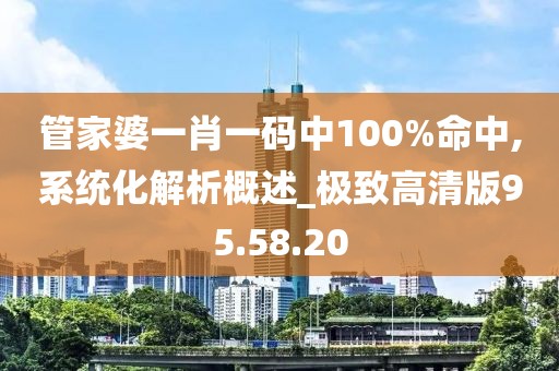 管家婆一肖一码中100%命中,系统化解析概述_极致高清版95.58.20