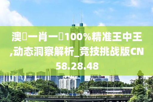 澳門一肖一碼100%精准王中王,动态洞察解析_竞技挑战版CN58.28.48