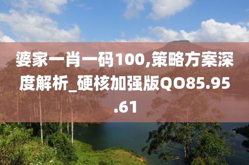婆家一肖一码100,策略方案深度解析_硬核加强版QO85.95.61