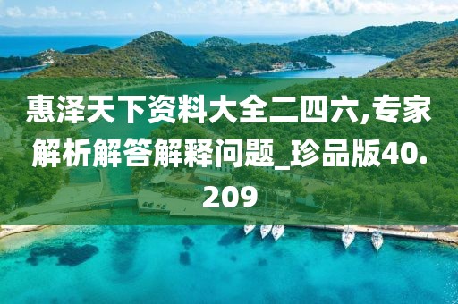 惠泽天下资料大全二四六,专家解析解答解释问题_珍品版40.209