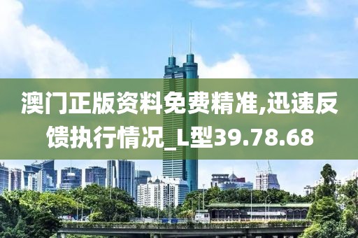 澳门正版资料免费精准,迅速反馈执行情况_L型39.78.68