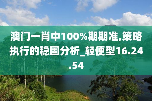 澳门一肖中100%期期准,策略执行的稳固分析_轻便型16.24.54