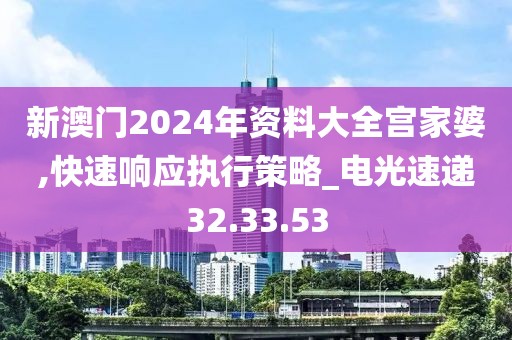 新澳门2024年资料大全宫家婆,快速响应执行策略_电光速递32.33.53