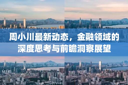 周小川最新动态，金融领域的深度思考与前瞻洞察展望