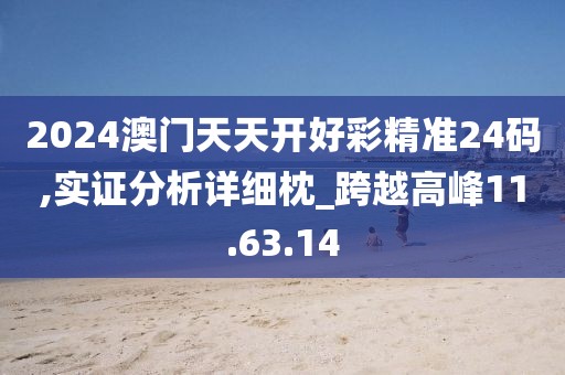 2024澳门天天开好彩精准24码,实证分析详细枕_跨越高峰11.63.14