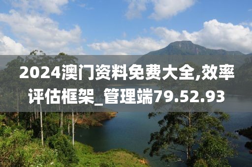 2024澳门资料免费大全,效率评估框架_管理端79.52.93