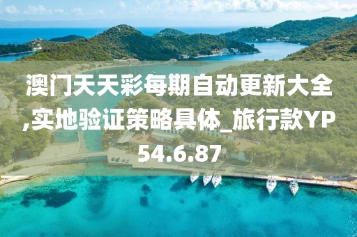 澳门天天彩每期自动更新大全,实地验证策略具体_旅行款YP54.6.87