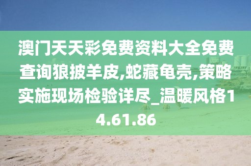 澳门天天彩免费资料大全免费查询狼披羊皮,蛇藏龟壳,策略实施现场检验详尽_温暖风格14.61.86