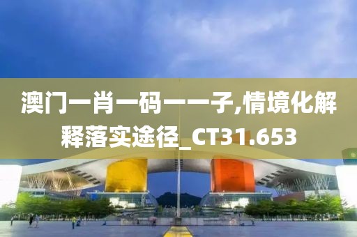 澳门一肖一码一一子,情境化解释落实途径_CT31.653