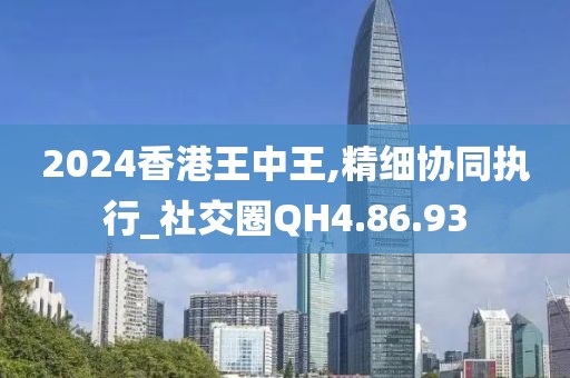 2024香港王中王,精细协同执行_社交圈QH4.86.93