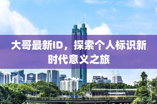 大哥最新ID，探索个人标识新时代意义之旅