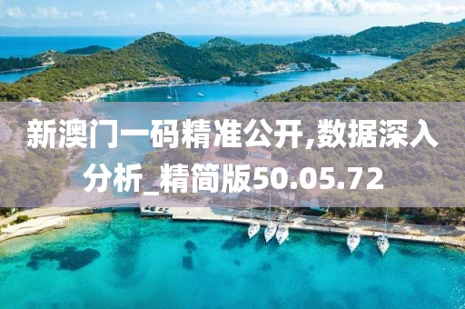 新澳门一码精准公开,数据深入分析_精简版50.05.72