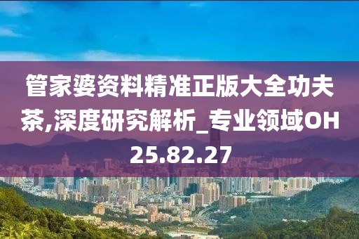 管家婆资料精准正版大全功夫茶,深度研究解析_专业领域OH25.82.27