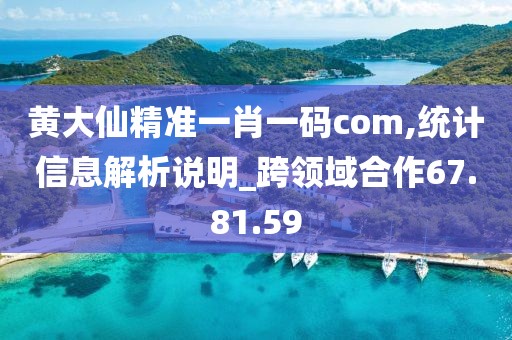 黄大仙精准一肖一码com,统计信息解析说明_跨领域合作67.81.59